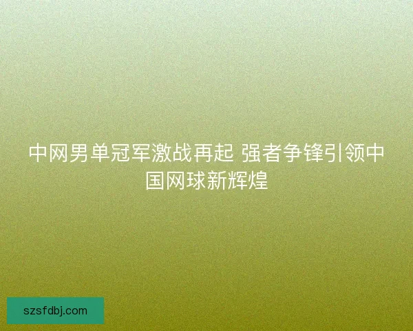 中网男单冠军激战再起 强者争锋引领中国网球新辉煌