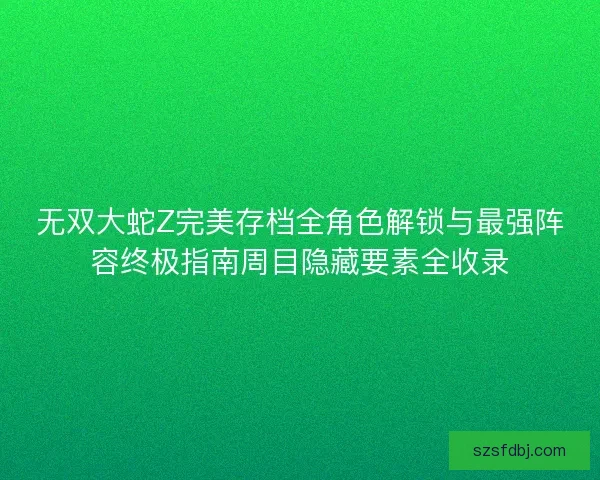 无双大蛇Z完美存档全角色解锁与最强阵容终极指南周目隐藏要素全收录