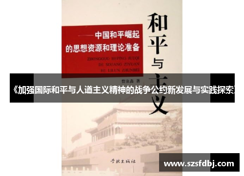 《加强国际和平与人道主义精神的战争公约新发展与实践探索》
