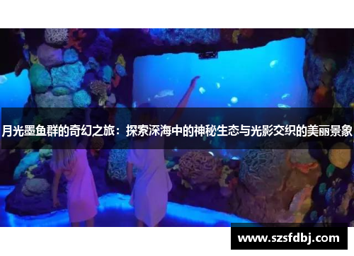 月光墨鱼群的奇幻之旅：探索深海中的神秘生态与光影交织的美丽景象