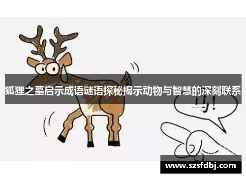 狐狸之墓启示成语谜语探秘揭示动物与智慧的深刻联系