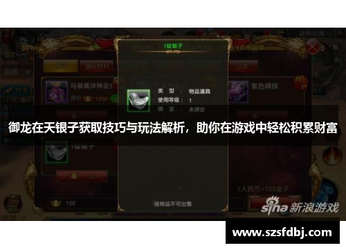 御龙在天银子获取技巧与玩法解析，助你在游戏中轻松积累财富